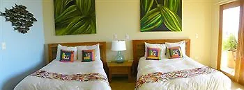 Cardon Adventure Resort 马萨特兰 酒店